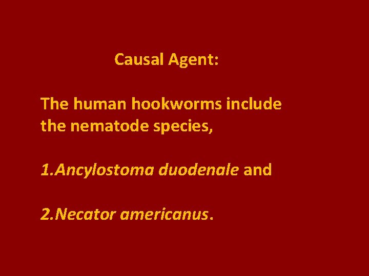 Causal Agent: The human hookworms include the nematode species, 1. Ancylostoma duodenale and 2.