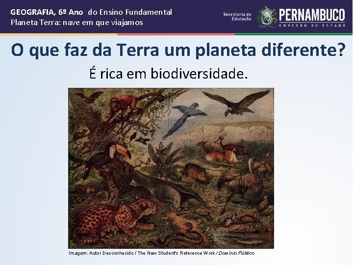 GEOGRAFIA, 6º Ano do Ensino Fundamental Planeta Terra: nave em que viajamos O que