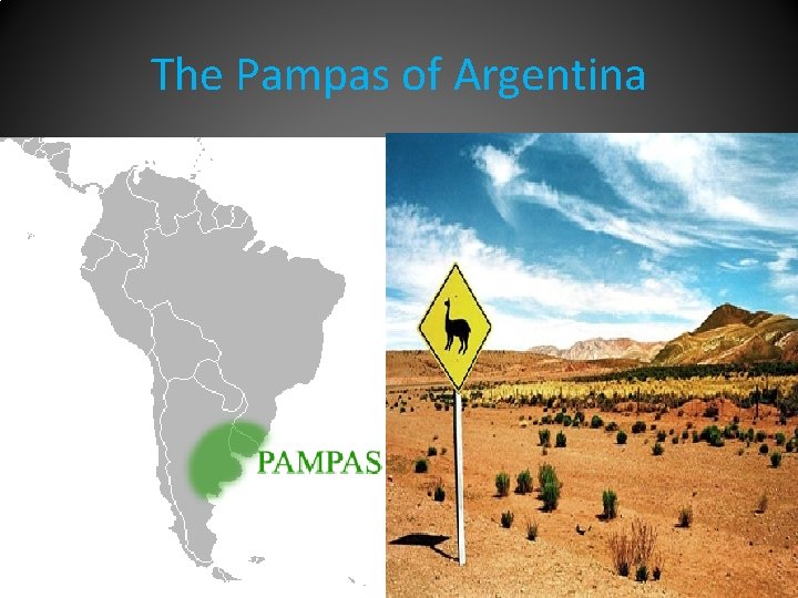 The Pampas of Argentina 