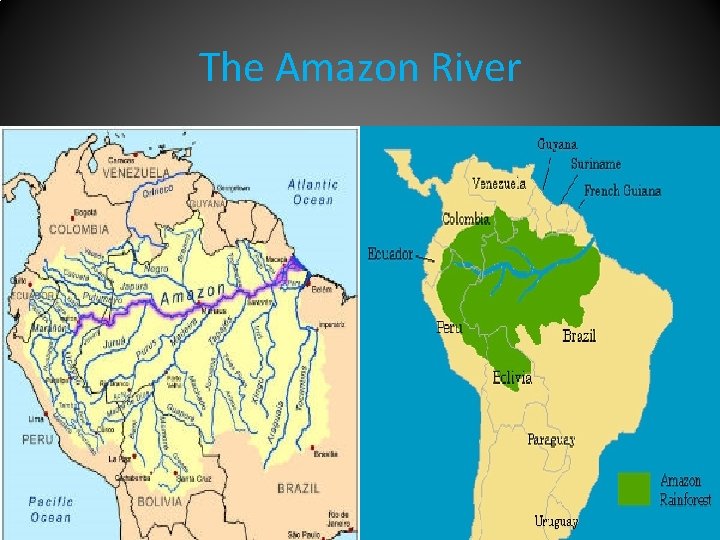 The Amazon River 