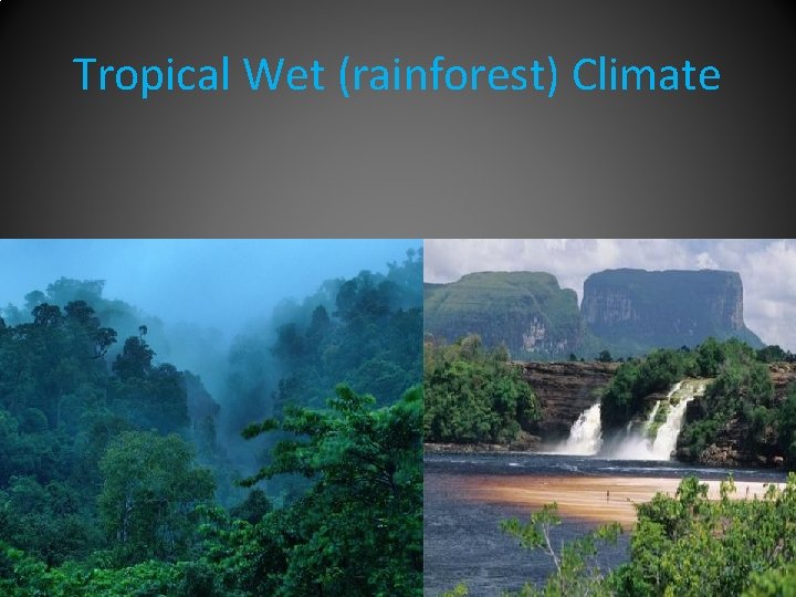 Tropical Wet (rainforest) Climate 