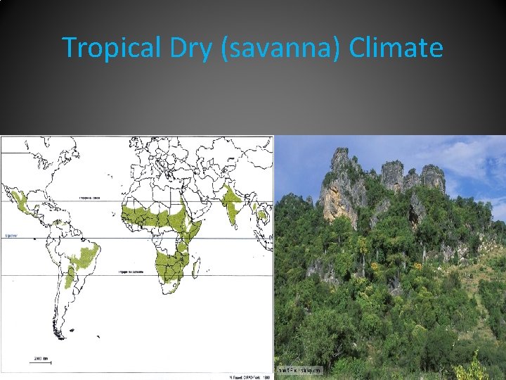 Tropical Dry (savanna) Climate 