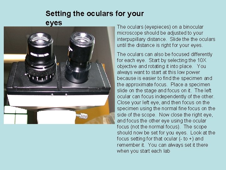 Setting the oculars for your eyes The oculars (eyepieces) on a binocular microscope should Setting the oculars for your eyes The oculars (eyepieces) on a binocular microscope should