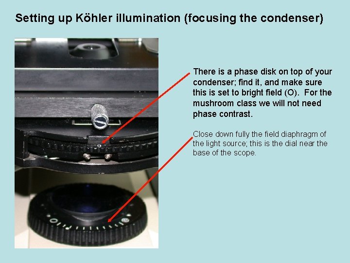 Setting up Köhler illumination (focusing the condenser) There is a phase disk on top Setting up Köhler illumination (focusing the condenser) There is a phase disk on top