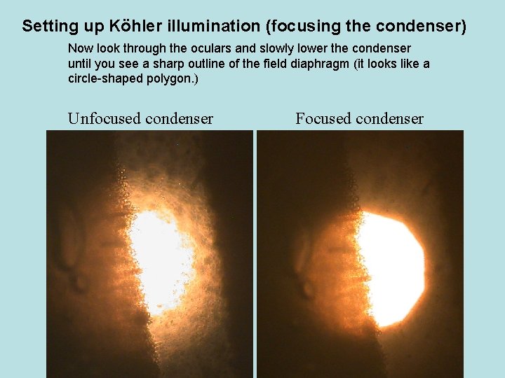 Setting up Köhler illumination (focusing the condenser) Now look through the oculars and slowly Setting up Köhler illumination (focusing the condenser) Now look through the oculars and slowly
