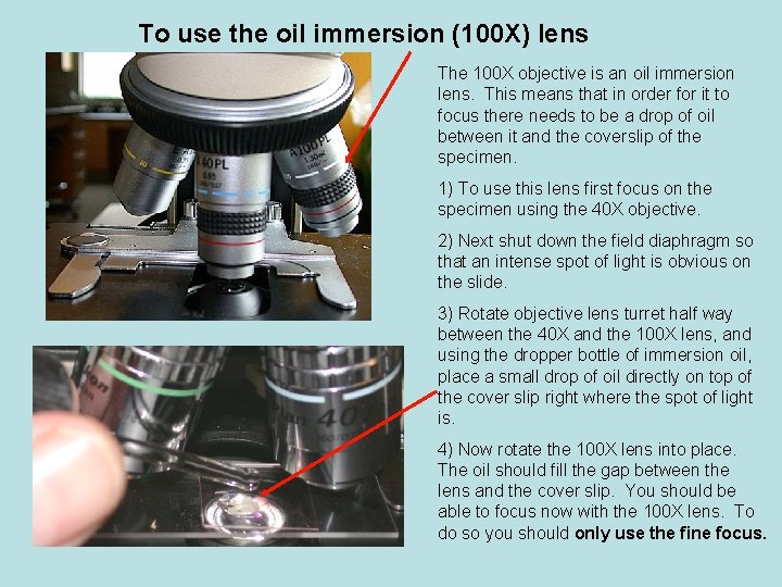 To use the oil immersion (100 X) lens The 100 X objective is an To use the oil immersion (100 X) lens The 100 X objective is an