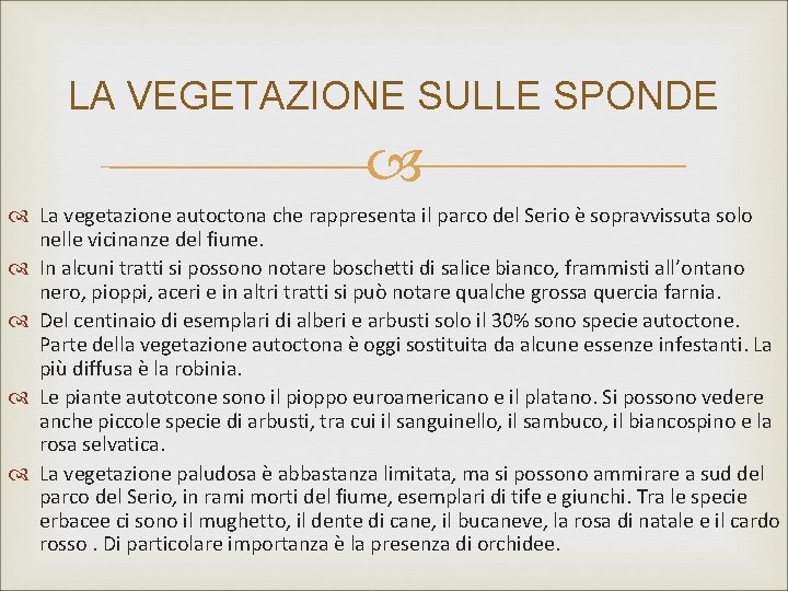 LA VEGETAZIONE SULLE SPONDE La vegetazione autoctona che rappresenta il parco del Serio è LA VEGETAZIONE SULLE SPONDE La vegetazione autoctona che rappresenta il parco del Serio è