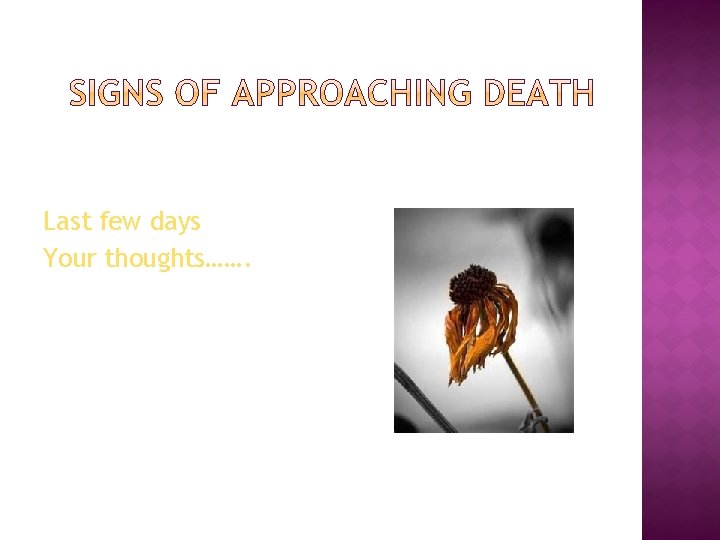 Last few days Your thoughts……. Last few days Your thoughts…….