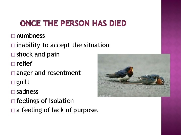 ONCE THE PERSON HAS DIED � numbness � inability to accept the situation � ONCE THE PERSON HAS DIED � numbness � inability to accept the situation �