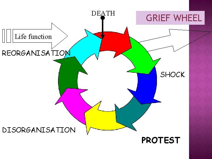 DEATH GRIEF WHEEL Life function REORGANISATION SHOCK DISORGANISATION PROTEST DEATH GRIEF WHEEL Life function REORGANISATION SHOCK DISORGANISATION PROTEST