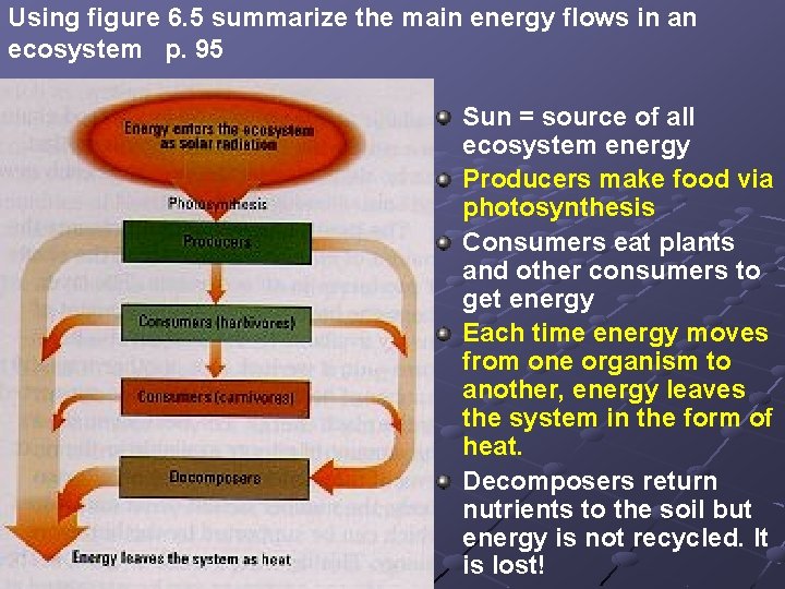 Using figure 6. 5 summarize the main energy flows in an ecosystem p. 95