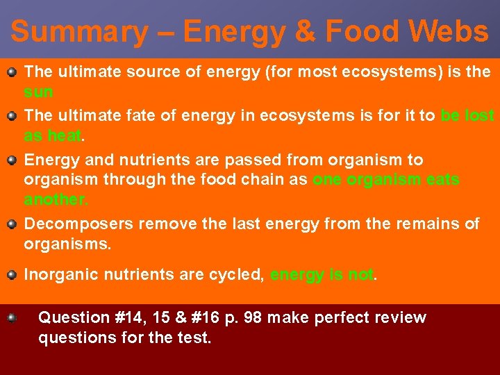 Summary – Energy & Food Webs The ultimate source of energy (for most ecosystems)