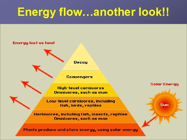 Energy flow…another look!! 