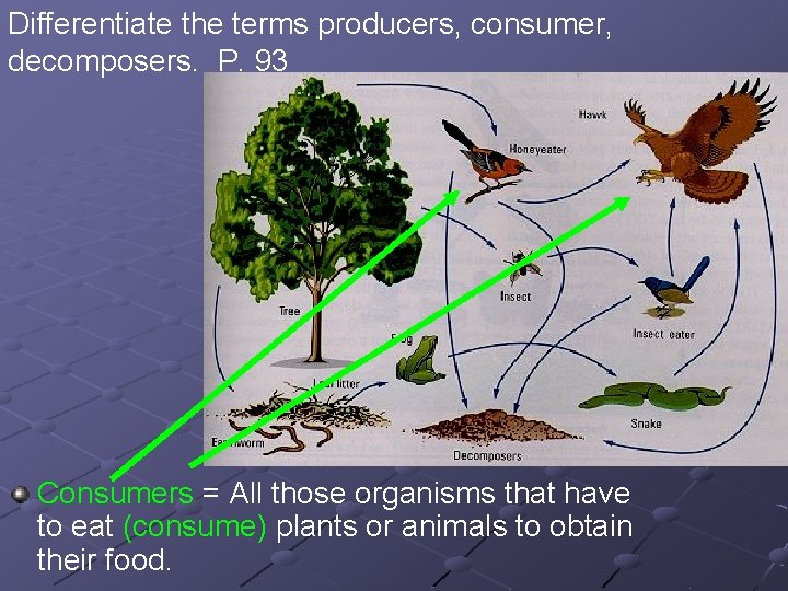 Differentiate the terms producers, consumer, decomposers. P. 93 Consumers = All those organisms that