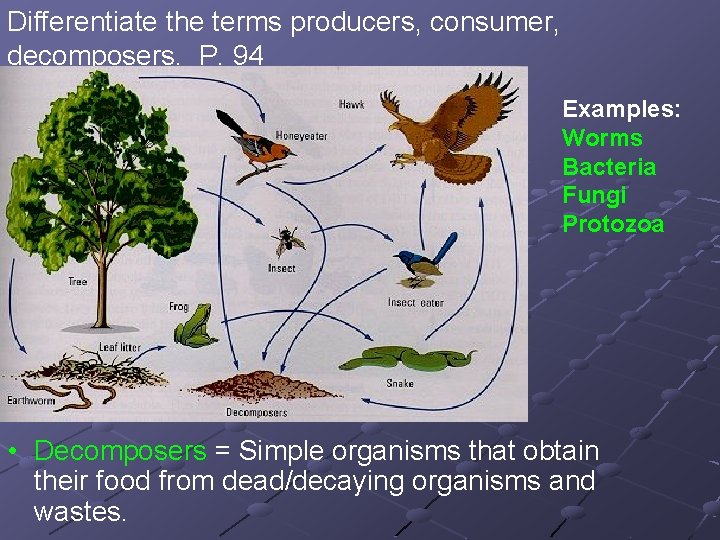 Differentiate the terms producers, consumer, decomposers. P. 94 Examples: Worms Bacteria Fungi Protozoa •