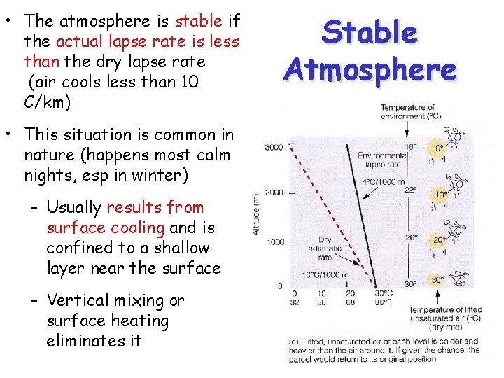  • The atmosphere is stable if the actual lapse rate is less than