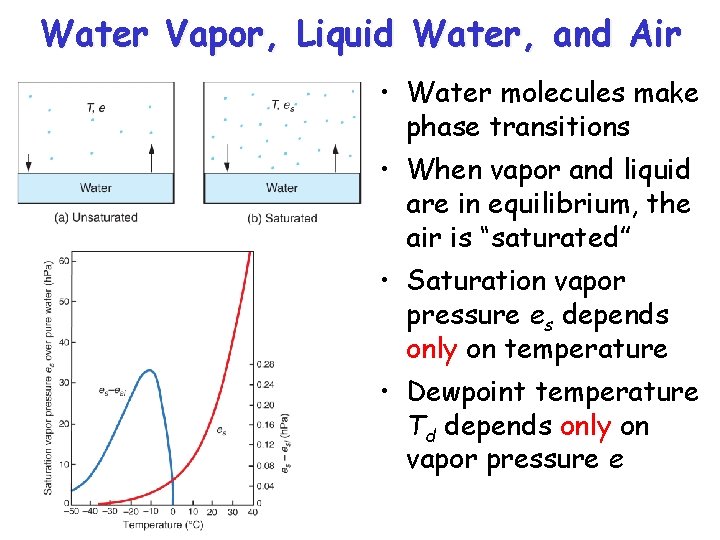 Water Vapor, Liquid Water, and Air • Water molecules make phase transitions • When