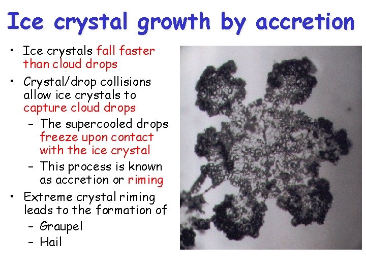 Ice crystal growth by accretion • Ice crystals fall faster than cloud drops •