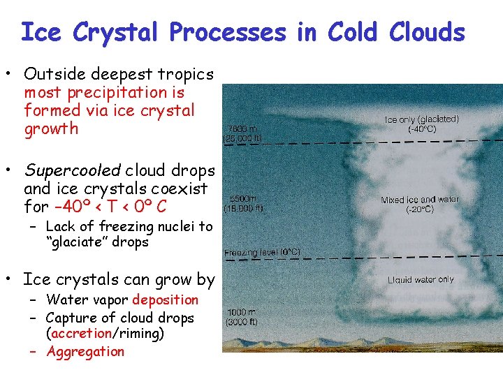 Ice Crystal Processes in Cold Clouds • Outside deepest tropics most precipitation is formed