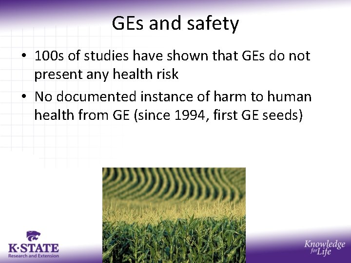 GEs and safety • 100 s of studies have shown that GEs do not