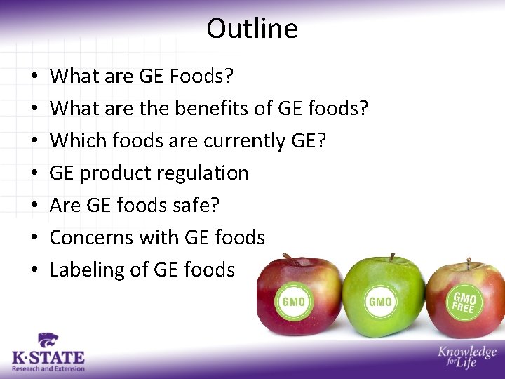 Outline • • What are GE Foods? What are the benefits of GE foods?