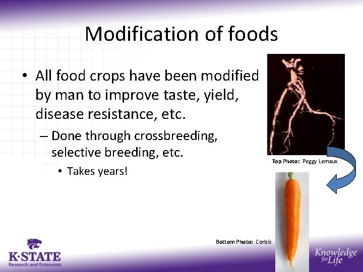 Modification of foods • All food crops have been modified by man to improve