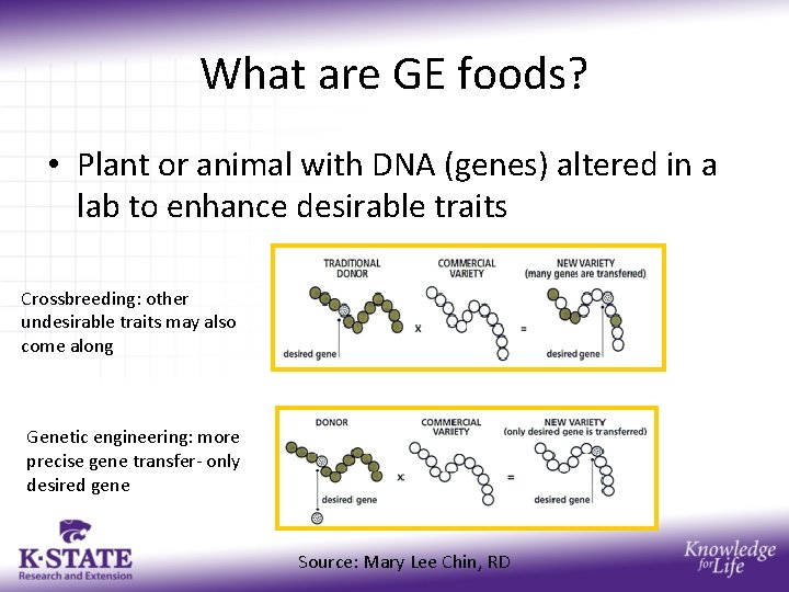 What are GE foods? • Plant or animal with DNA (genes) altered in a