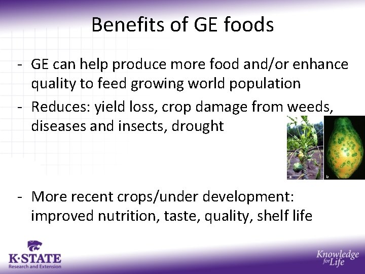Benefits of GE foods - GE can help produce more food and/or enhance quality