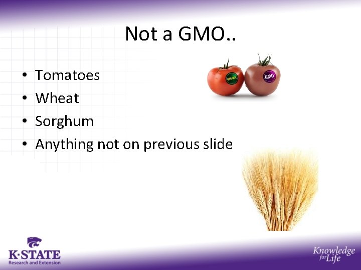 Not a GMO. . • • Tomatoes Wheat Sorghum Anything not on previous slide