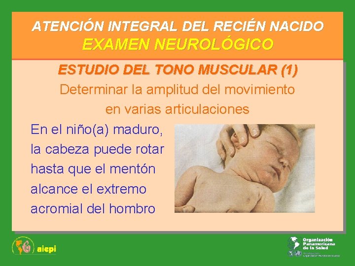 ATENCIÓN INTEGRAL DEL RECIÉN NACIDO EXAMEN NEUROLÓGICO ESTUDIO DEL TONO MUSCULAR (1) Determinar la