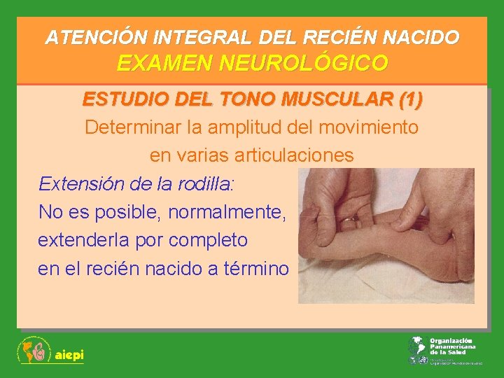 ATENCIÓN INTEGRAL DEL RECIÉN NACIDO EXAMEN NEUROLÓGICO ESTUDIO DEL TONO MUSCULAR (1) Determinar la