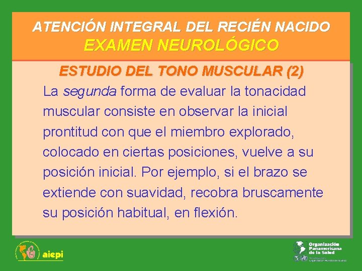 ATENCIÓN INTEGRAL DEL RECIÉN NACIDO EXAMEN NEUROLÓGICO ESTUDIO DEL TONO MUSCULAR (2) La segunda