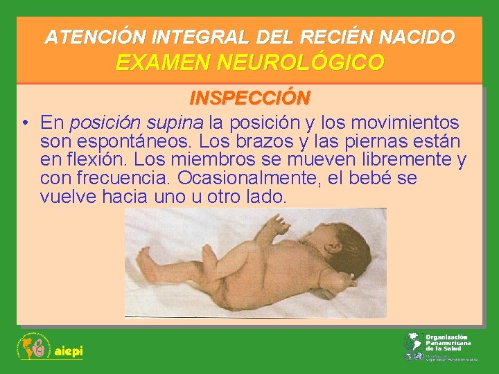 ATENCIÓN INTEGRAL DEL RECIÉN NACIDO EXAMEN NEUROLÓGICO INSPECCIÓN • En posición supina la posición