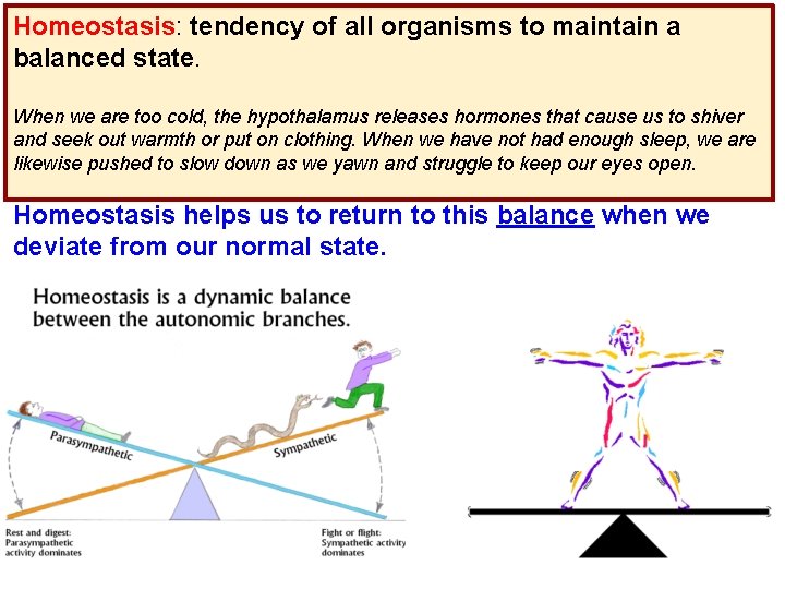 Homeostasis: tendency of all organisms to maintain a balanced state. When we are too