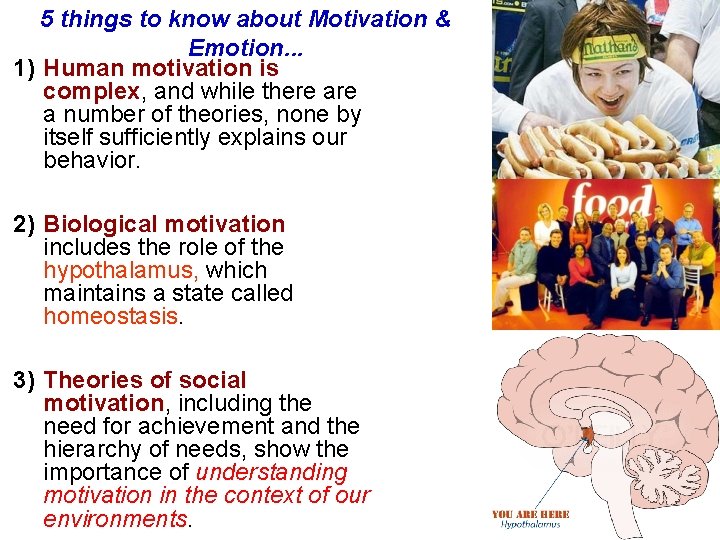 5 things to know about Motivation & Emotion. . . 1) Human motivation is
