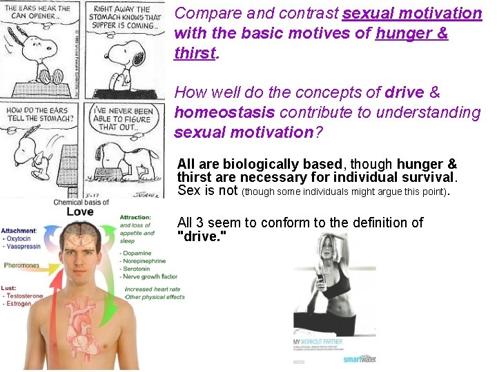 Compare and contrast sexual motivation with the basic motives of hunger & thirst. How