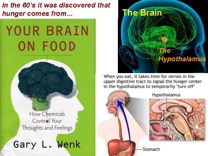 In the 60’s it was discovered that hunger comes from… The Brain The Hypothalamus