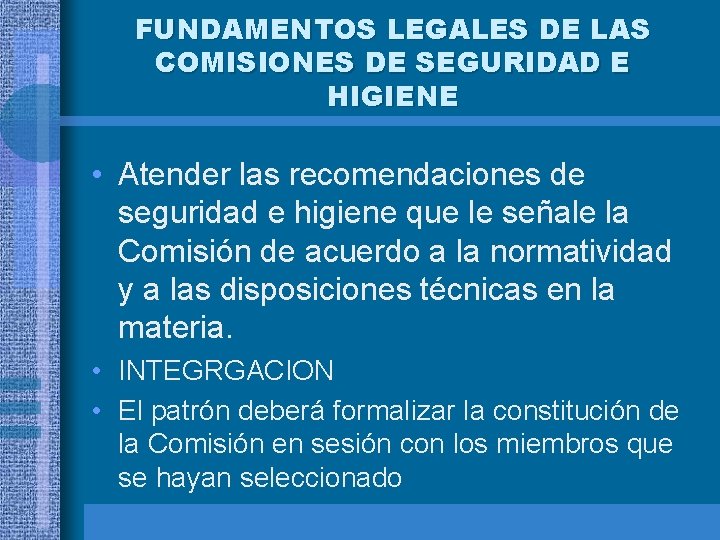Programas de Seguridad e Higiene Industrial Comisiones de