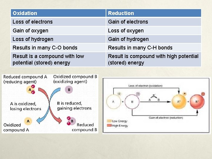 Oxidation Reduction Loss of electrons Gain of oxygen Loss of hydrogen Gain of hydrogen