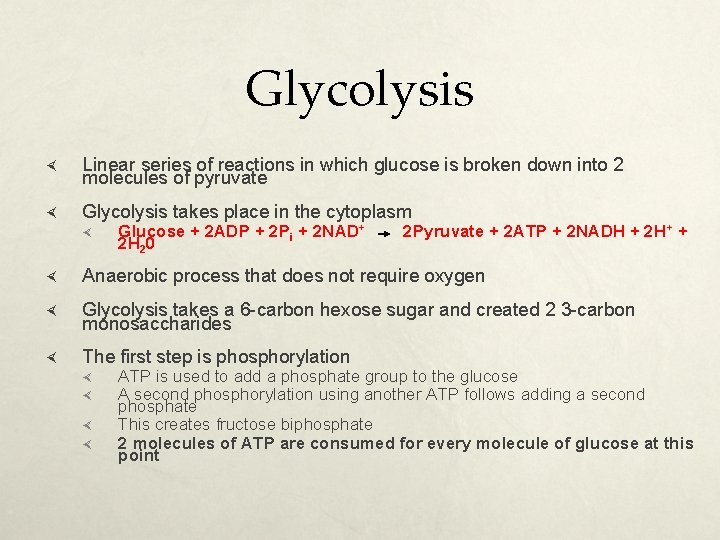 Glycolysis Linear series of reactions in which glucose is broken down into 2 molecules