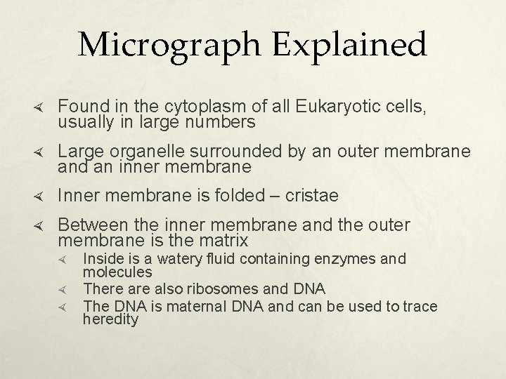 Micrograph Explained Found in the cytoplasm of all Eukaryotic cells, usually in large numbers