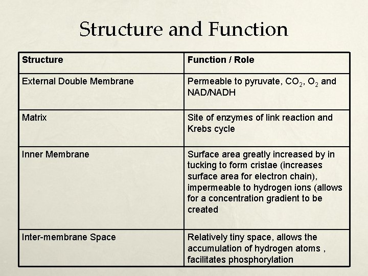 Structure and Function Structure Function / Role External Double Membrane Permeable to pyruvate, CO