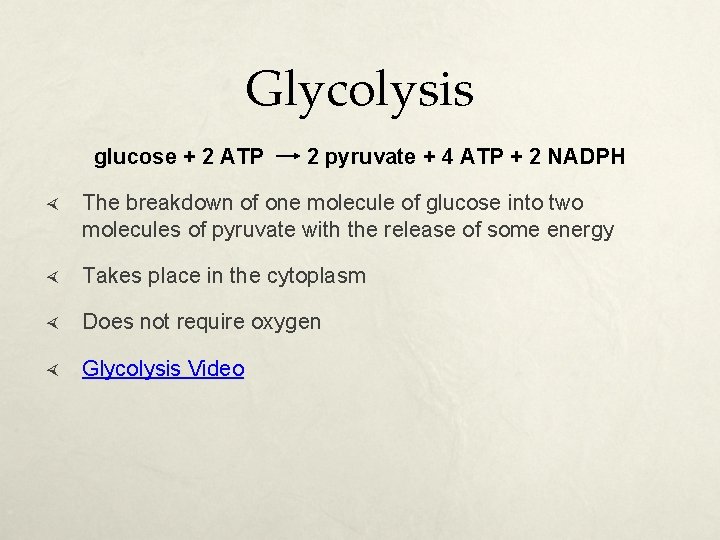 Glycolysis glucose + 2 ATP 2 pyruvate + 4 ATP + 2 NADPH The