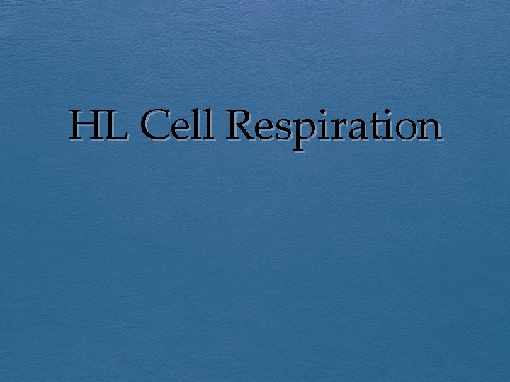 HL Cell Respiration 