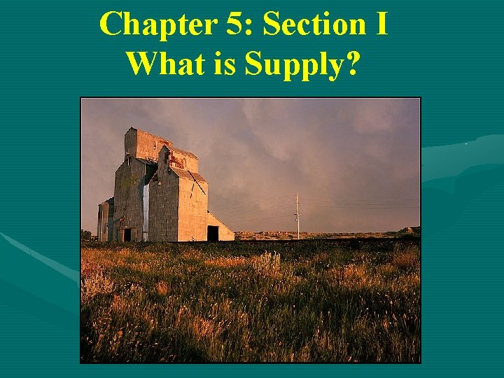 Chapter 5: Section I What is Supply? 