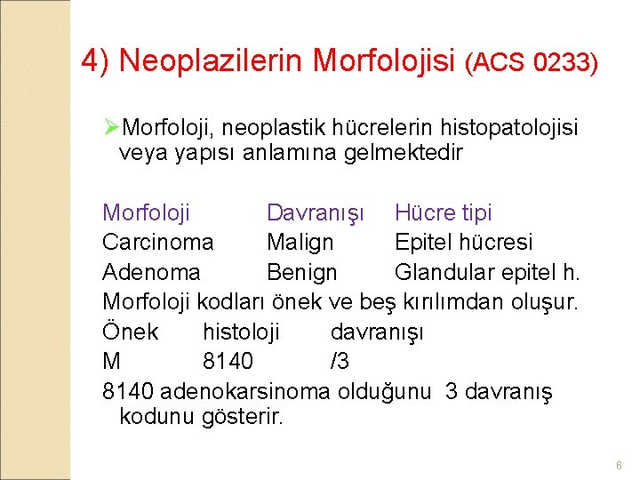 4) Neoplazilerin Morfolojisi (ACS 0233) ØMorfoloji, neoplastik hücrelerin histopatolojisi veya yapısı anlamına gelmektedir Morfoloji