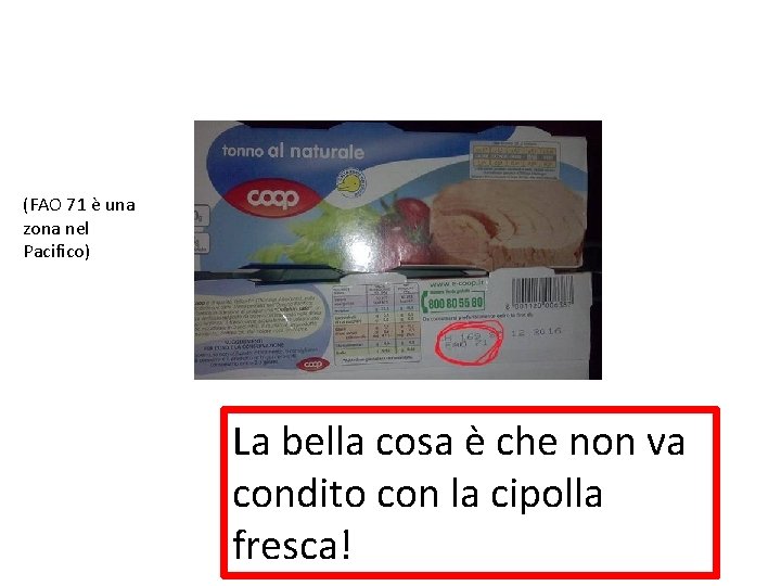 (FAO 71 è una zona nel Pacifico) La bella cosa è che non va (FAO 71 è una zona nel Pacifico) La bella cosa è che non va