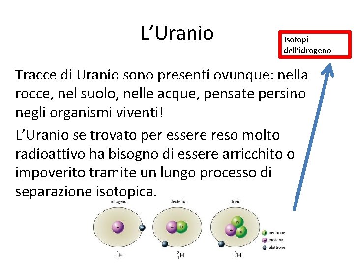 L’Uranio Isotopi dell’idrogeno Tracce di Uranio sono presenti ovunque: nella rocce, nel suolo, nelle L’Uranio Isotopi dell’idrogeno Tracce di Uranio sono presenti ovunque: nella rocce, nel suolo, nelle