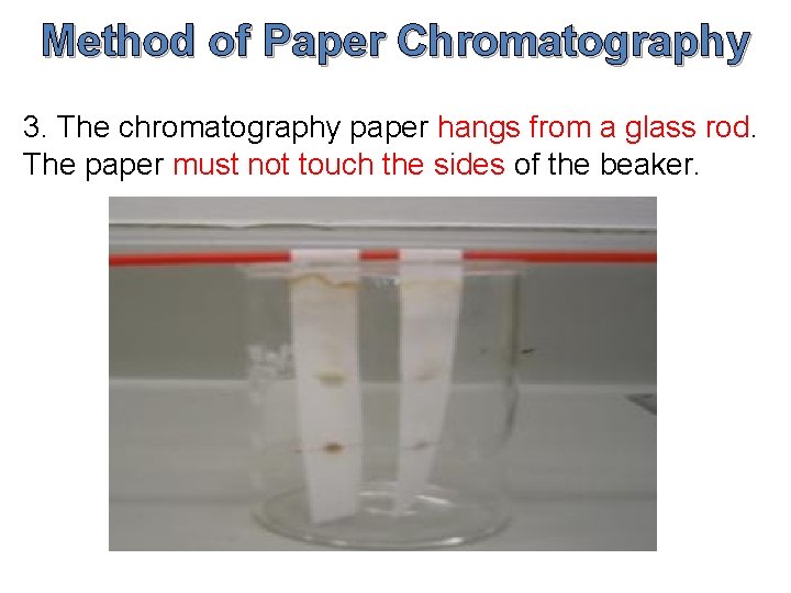 Method of Paper Chromatography 3. The chromatography paper hangs from a glass rod. The