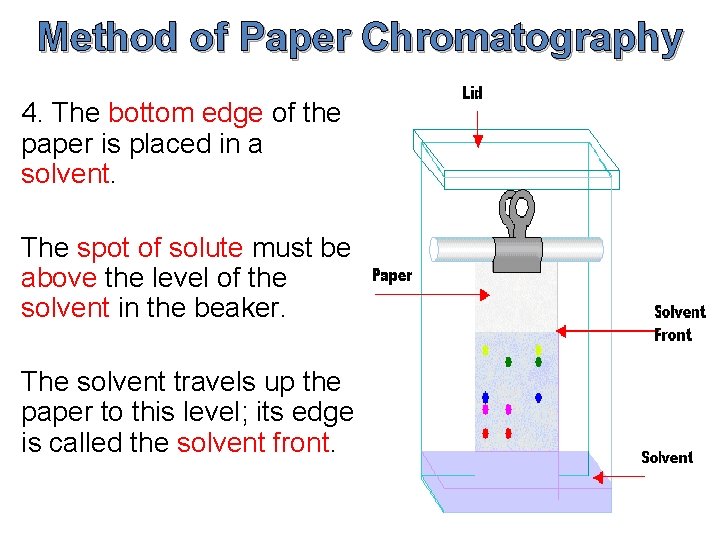Method of Paper Chromatography 4. The bottom edge of the paper is placed in